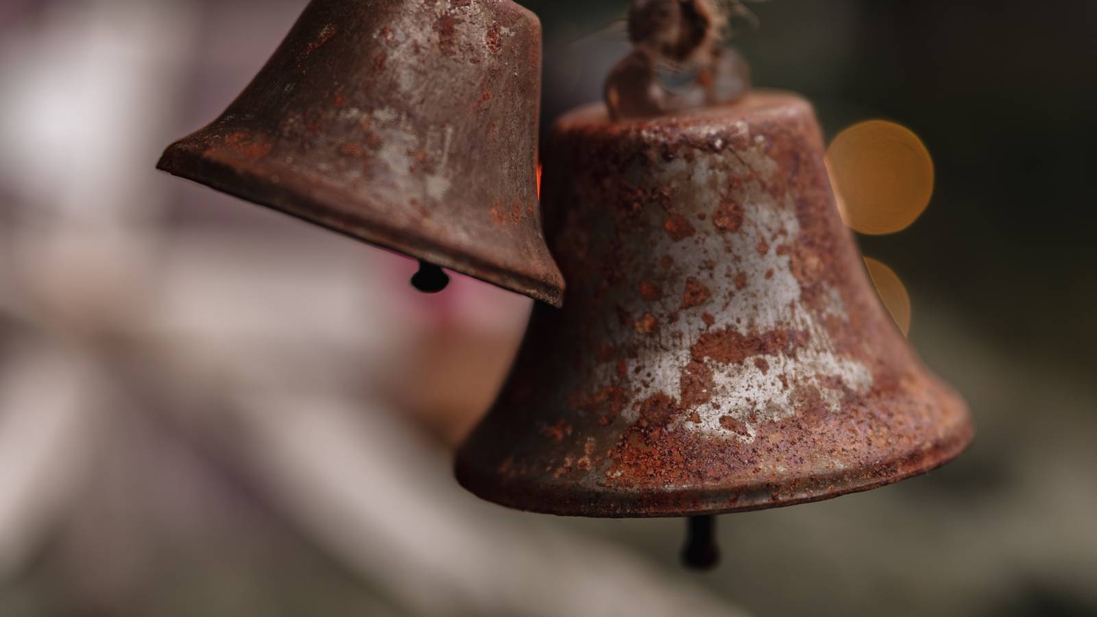 Highlights - Landgasthaus zur Krone