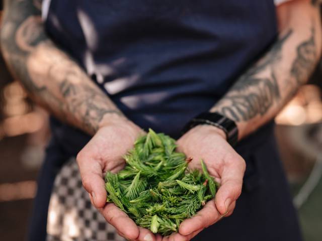 regionale Gerichte Landgasthau zur Krone 