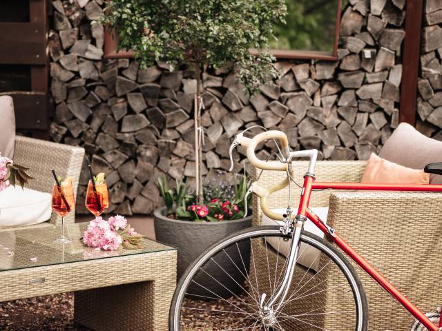 Mountainbiken im Pfälzer Wald